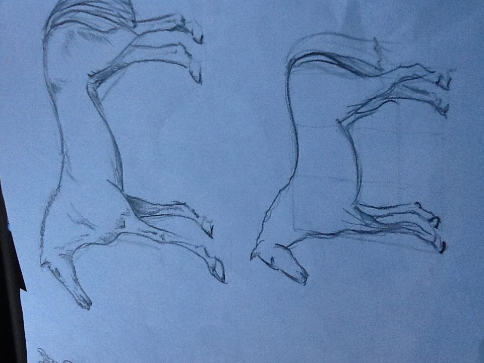 Sketch-of-a-racing-horse