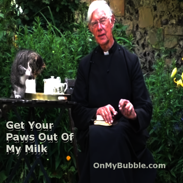 Cat steals some milk during Dean of Canterbury Cathedral's morning sermon