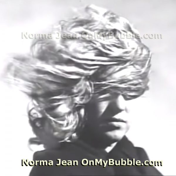 photo galleries